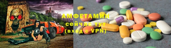 индика Богданович