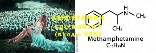 индика Богданович