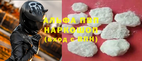 индика Богданович
