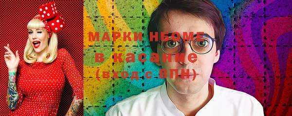 индика Богданович