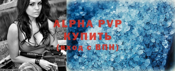 индика Богданович