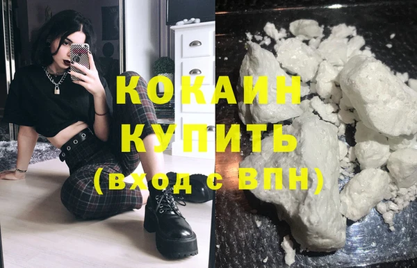 индика Богданович