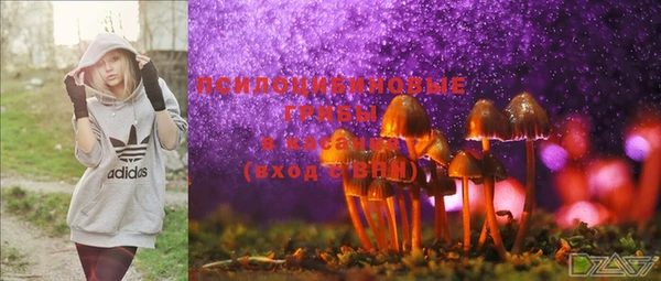 индика Богданович