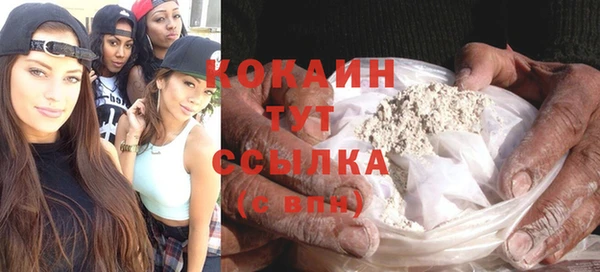 прущие грибы Беломорск