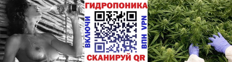 купить закладку  Великий Устюг  Конопля Bruce Banner 